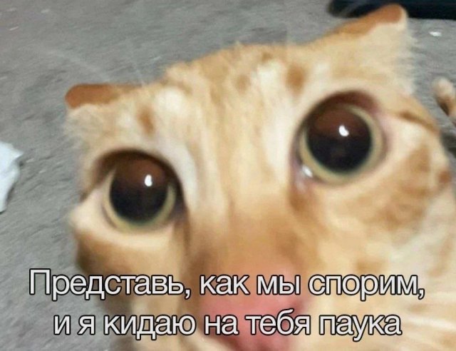 Смешные картинки - 09.05.2025