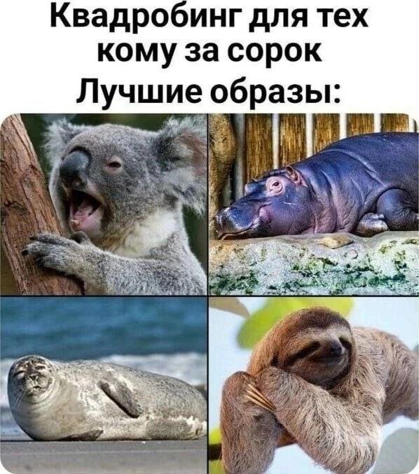 Смешные мемы - 09.05.2025