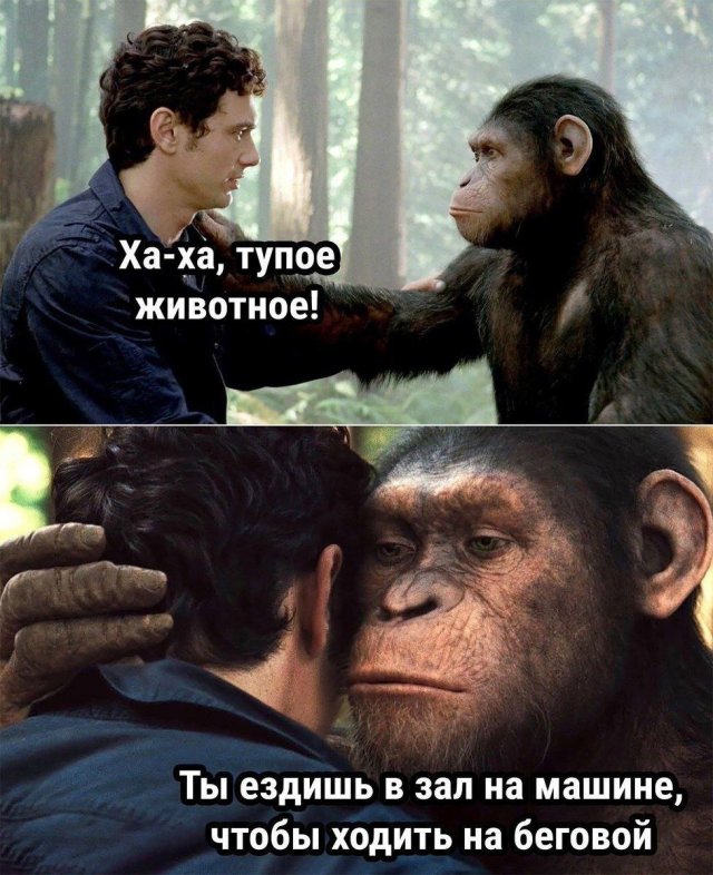 Смешные мемы - 09.05.2025