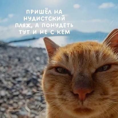 Смешные мемы - 09.05.2025