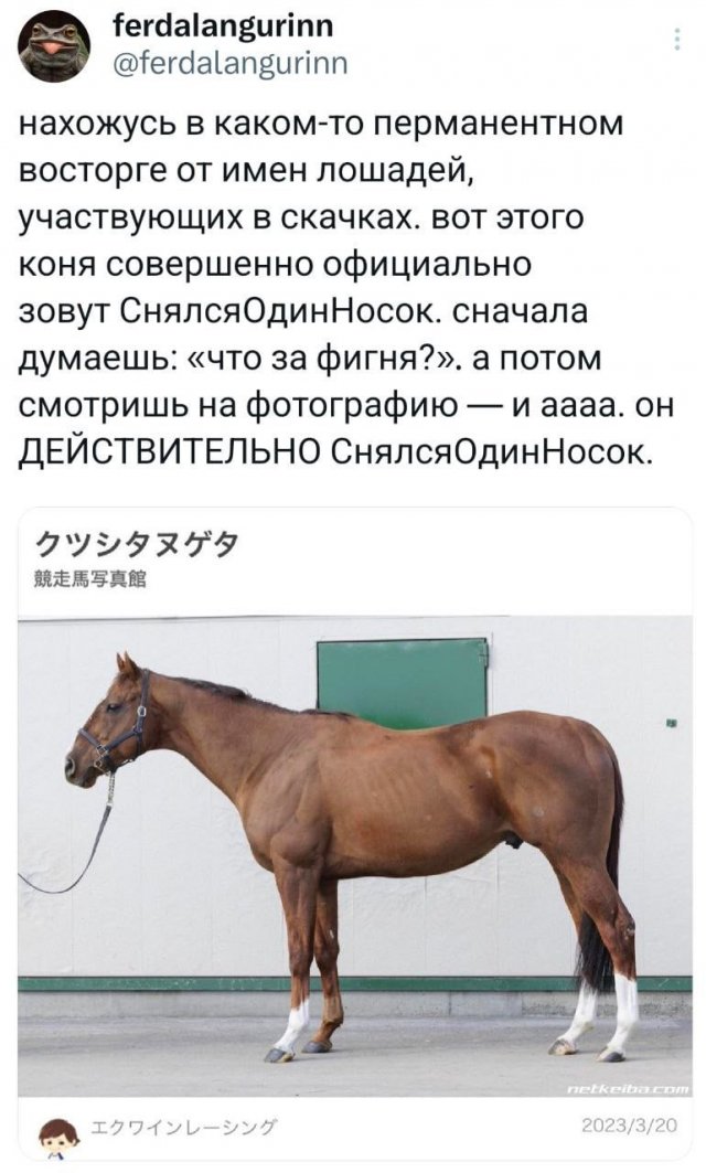 Подборка забавных твитов обо всем
