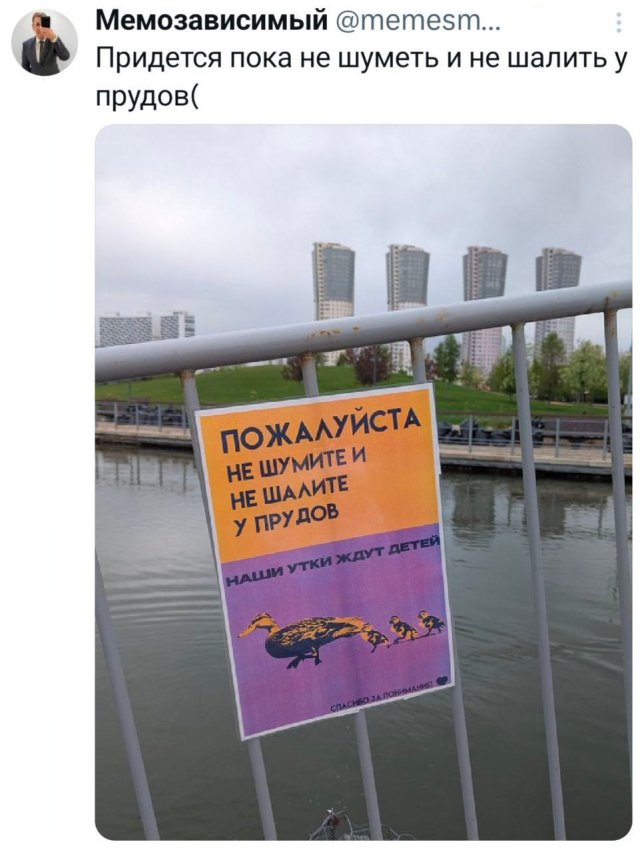 Подборка забавных твитов обо всем
