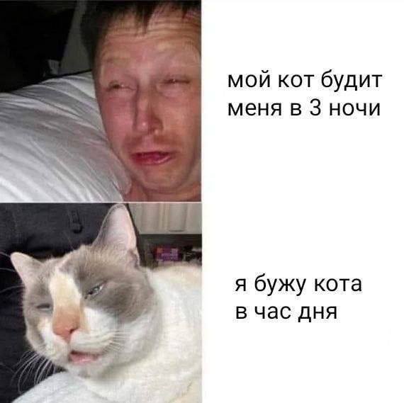 Смешные мемы - 12.05.2025