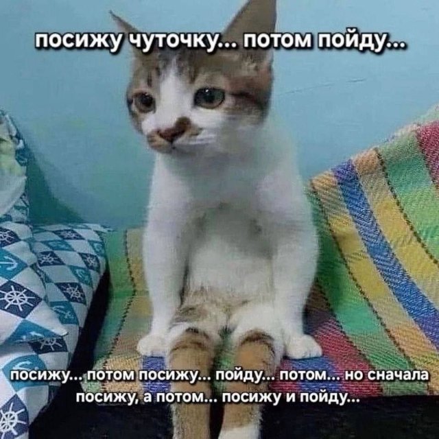 Смешные картинки - 12.05.2025