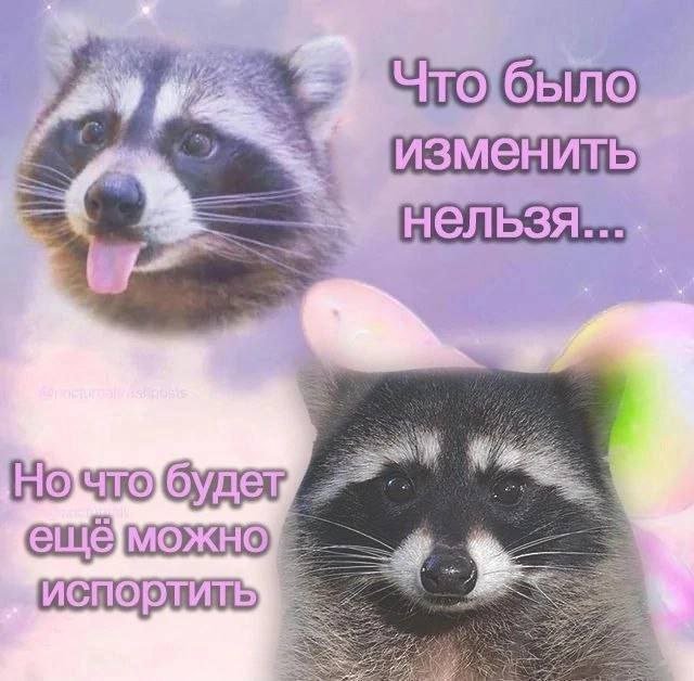 Смешные картинки - 12.05.2025