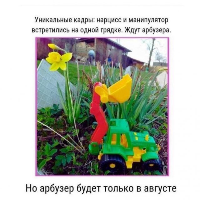 Смешные картинки - 12.05.2025