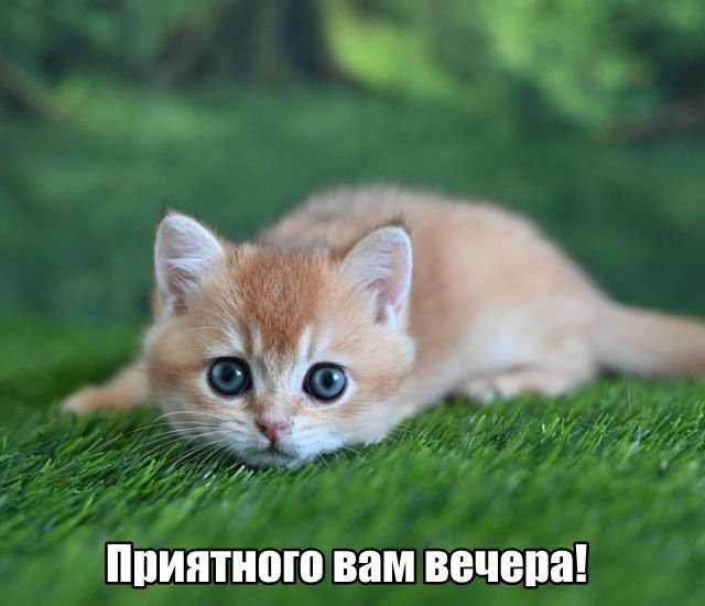 Трынделка - 12.05.2025
