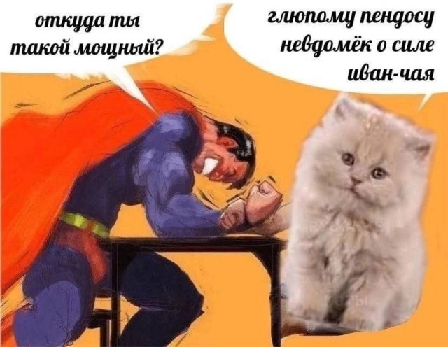 Лучшие шутки и мемы - 12.05.2025
