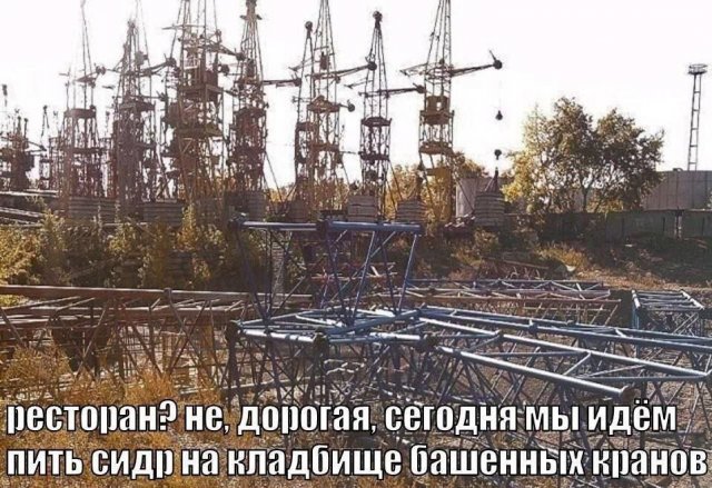 Лучшие шутки и мемы - 12.05.2025