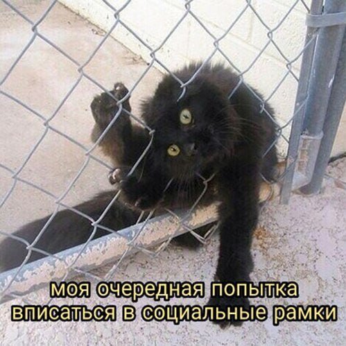 Лучшие шутки и мемы - 12.05.2025