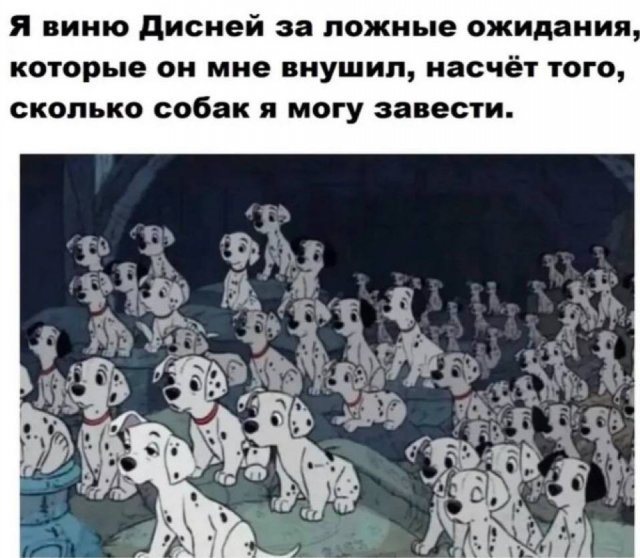 Лучшие шутки и мемы - 12.05.2025