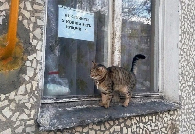 Подборка вывесок и объявлений, мимо которых нельзя пройти мимо