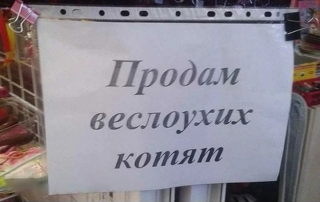 Подборка вывесок и объявлений, мимо которых нельзя пройти мимо