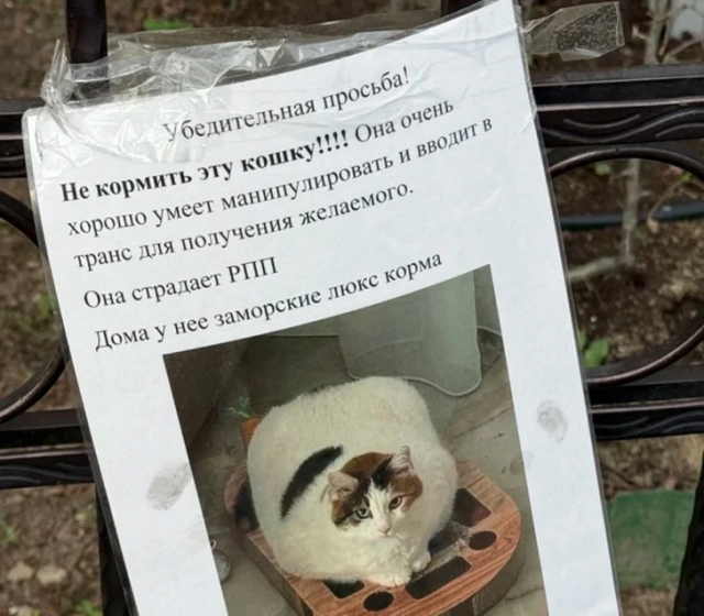 Подборка вывесок и объявлений, мимо которых нельзя пройти мимо