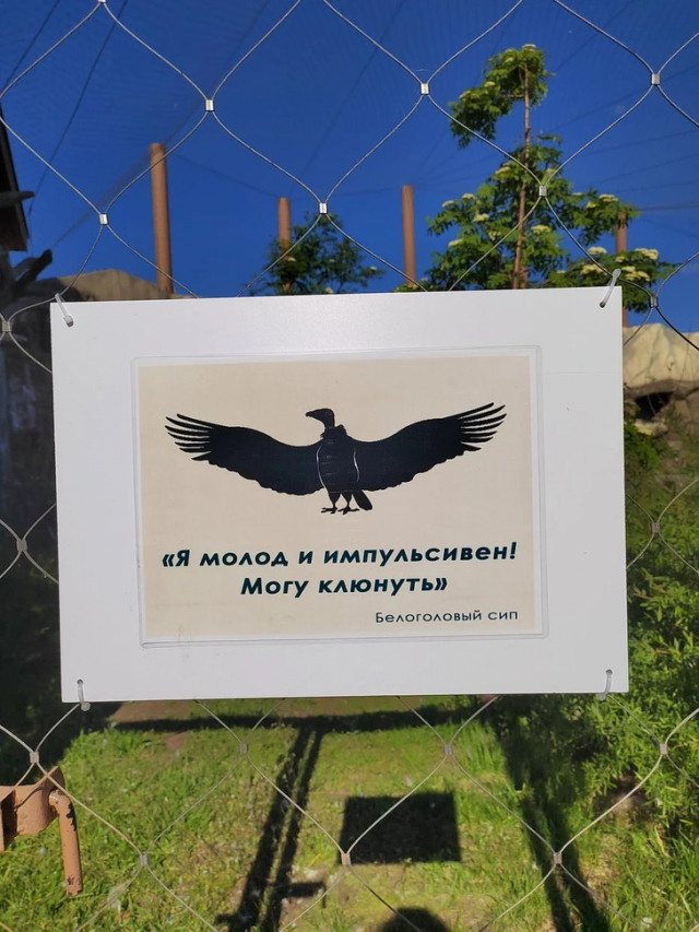 Подборка вывесок и объявлений, мимо которых нельзя пройти мимо