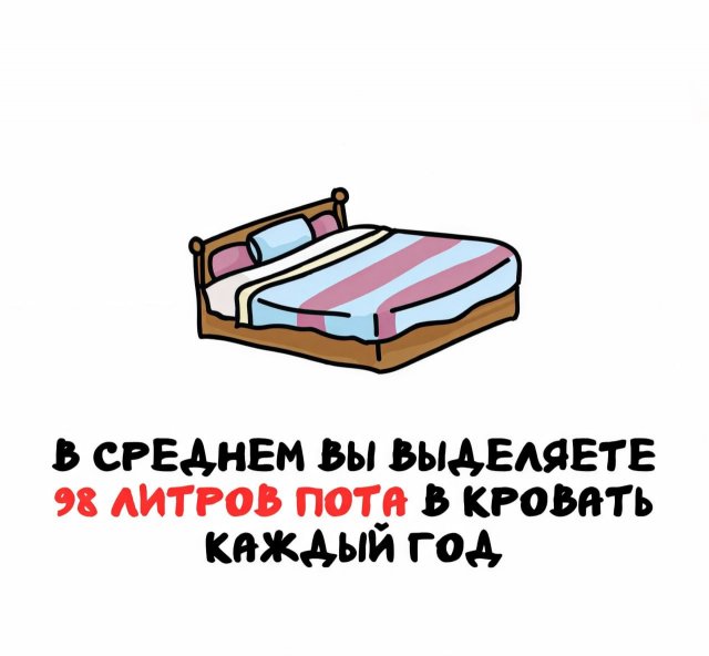 Интересные факты на все случаи жизни