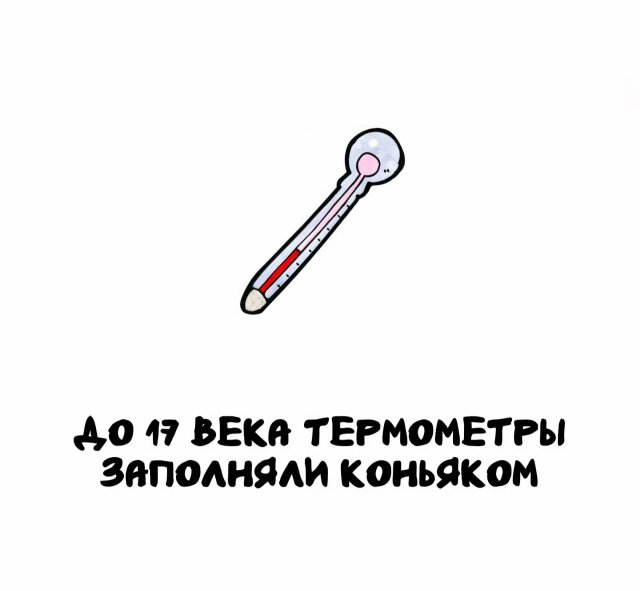 Интересные факты на все случаи жизни