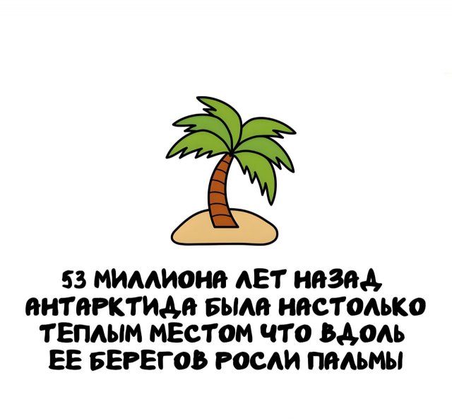 Интересные факты на все случаи жизни