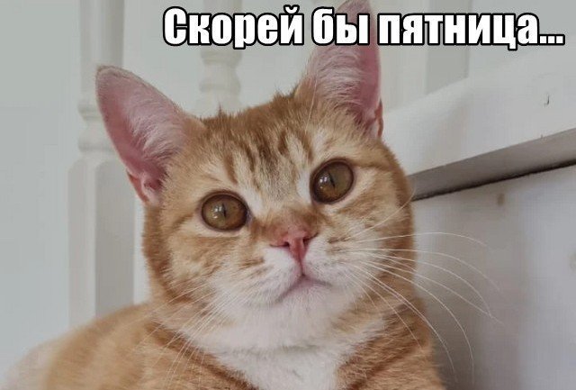 Трынделка - 13.05.2025