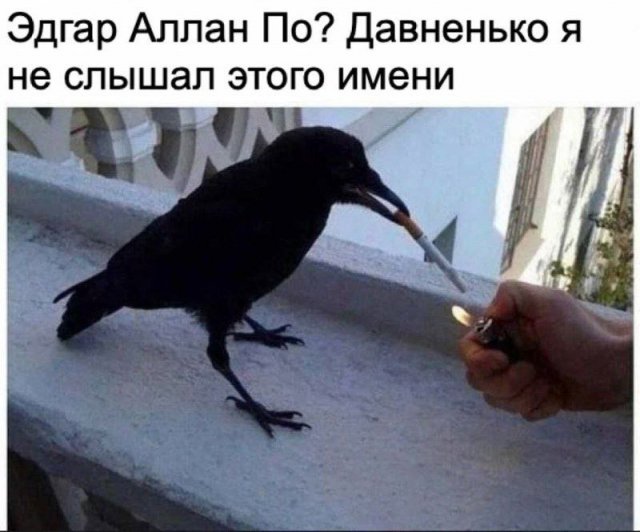 Лучшие шутки и мемы из Сети - 13.05.2025