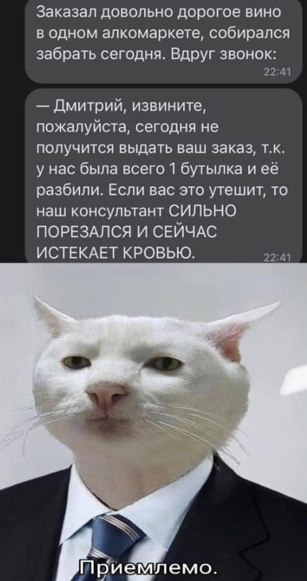 Лучшие шутки и мемы из Сети - 13.05.2025