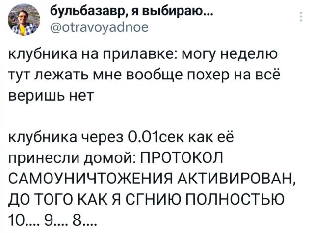 Подборка забавных твитов обо всем