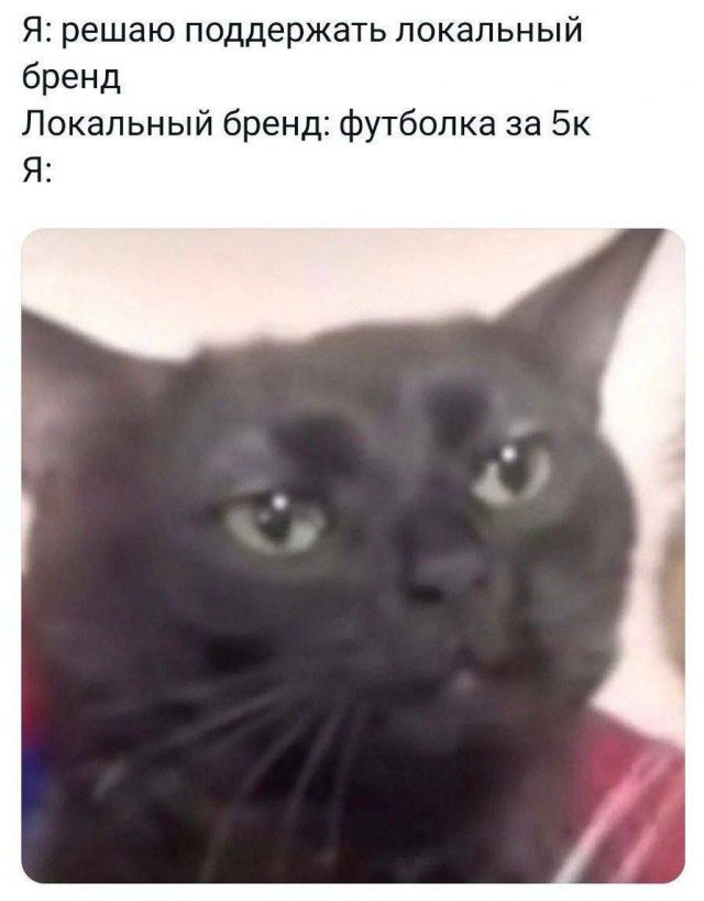 Смешные мемы - 14.05.2025