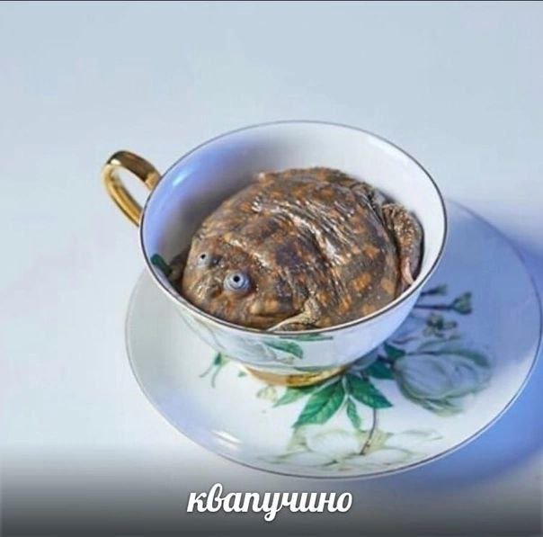 Смешные мемы - 14.05.2025