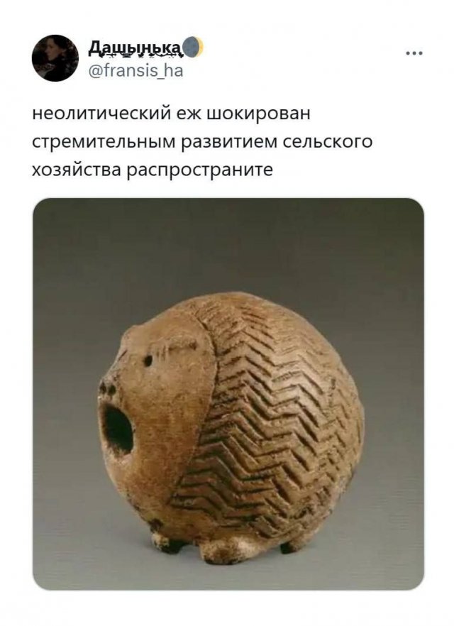 Смешные мемы - 14.05.2025