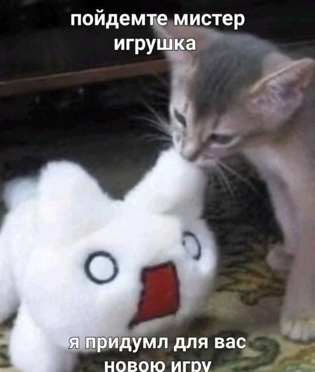 Смешные мемы - 14.05.2025