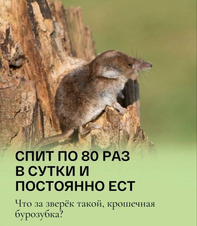 Подборка картинок. Вечерний выпуск - 14.05.2025