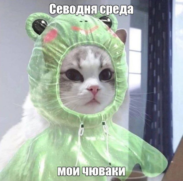 Лучшие шутки и мемы из Сети - 14.05.2025