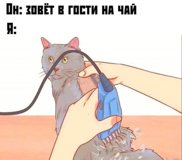 Смешные мемы - 15.05.2025