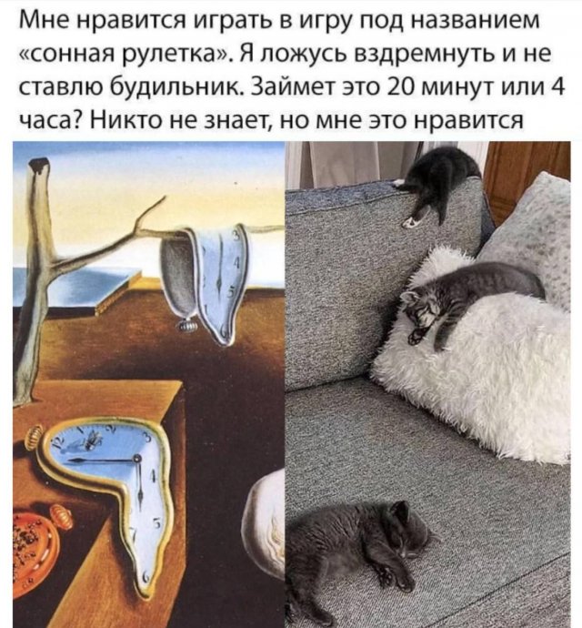Смешные мемы - 15.05.2025