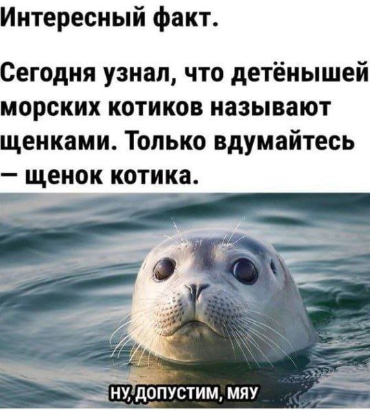 Смешные мемы - 15.05.2025