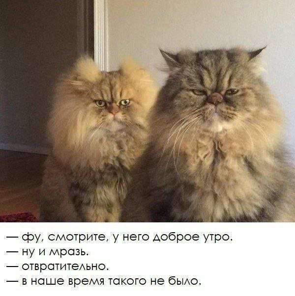 Смешные мемы - 15.05.2025