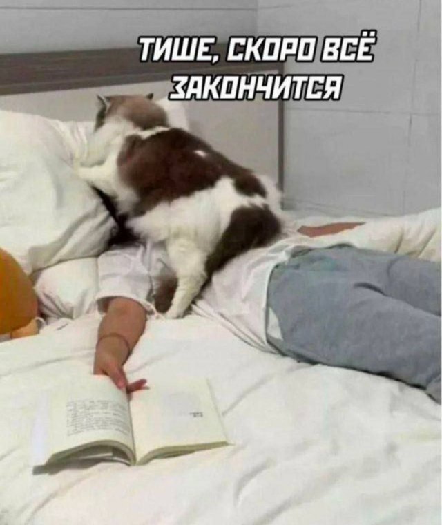 Смешные мемы - 15.05.2025