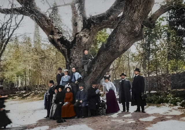 1000-летний Дуб. Массандра, 1910-е. 1000-летний Дуб. Массандра, 1910-е.