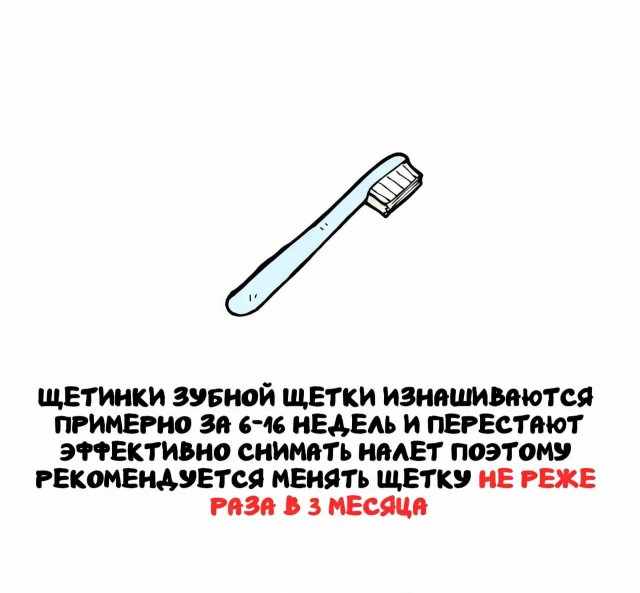 Интересные факты на все случаи жизни