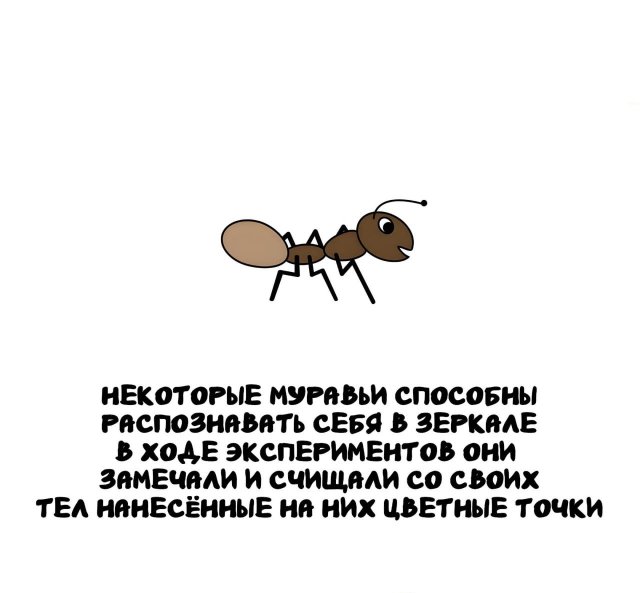 Интересные факты на все случаи жизни