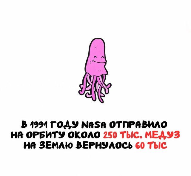 Интересные факты на все случаи жизни