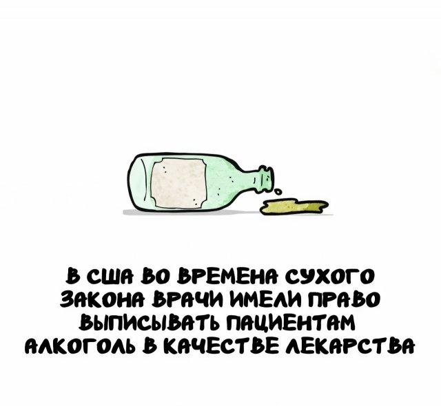 Интересные факты на все случаи жизни