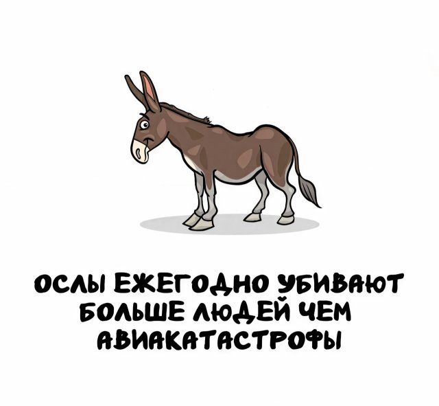 Интересные факты на все случаи жизни