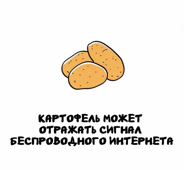 Интересные факты на все случаи жизни
