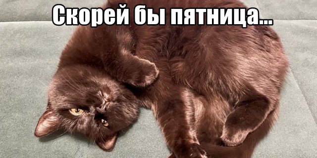 Трынделка - 15.05.2025