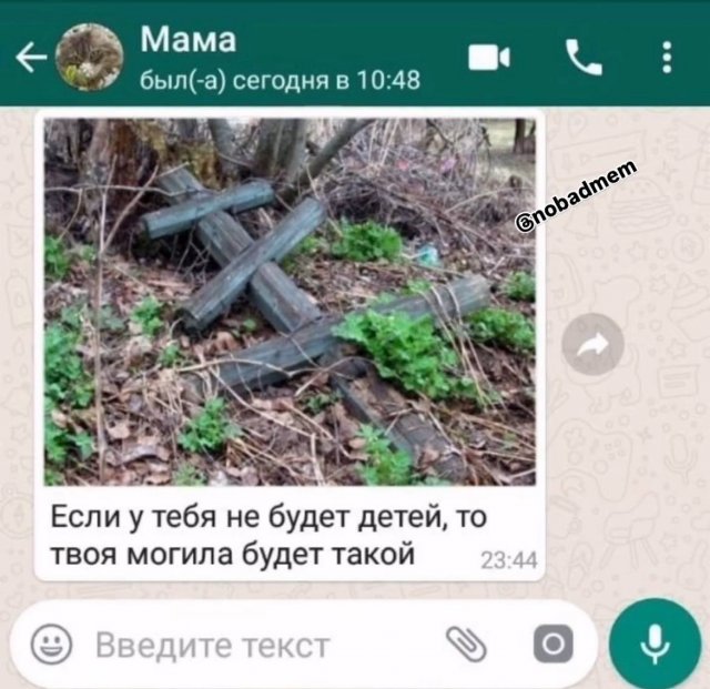 Лучшие шутки и мемы - 15.05.2025