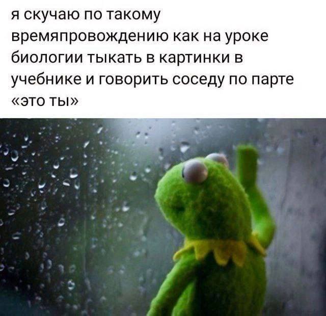 Лучшие шутки и мемы - 15.05.2025