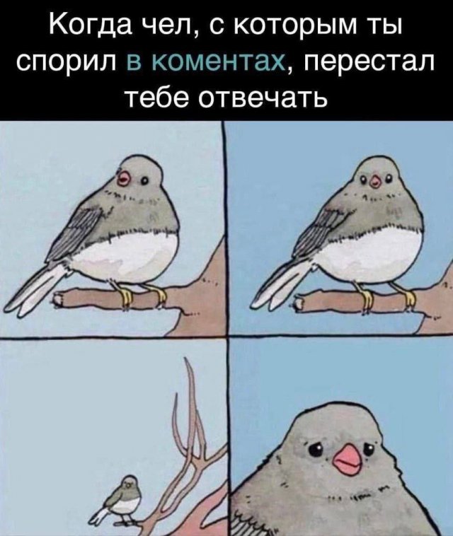 Лучшие шутки и мемы - 15.05.2025