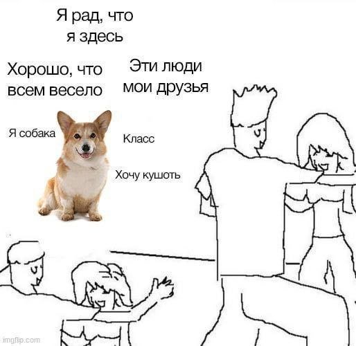 Смешные мемы - 16.05.2025