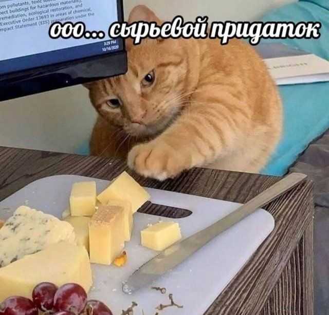 Смешные мемы - 16.05.2025